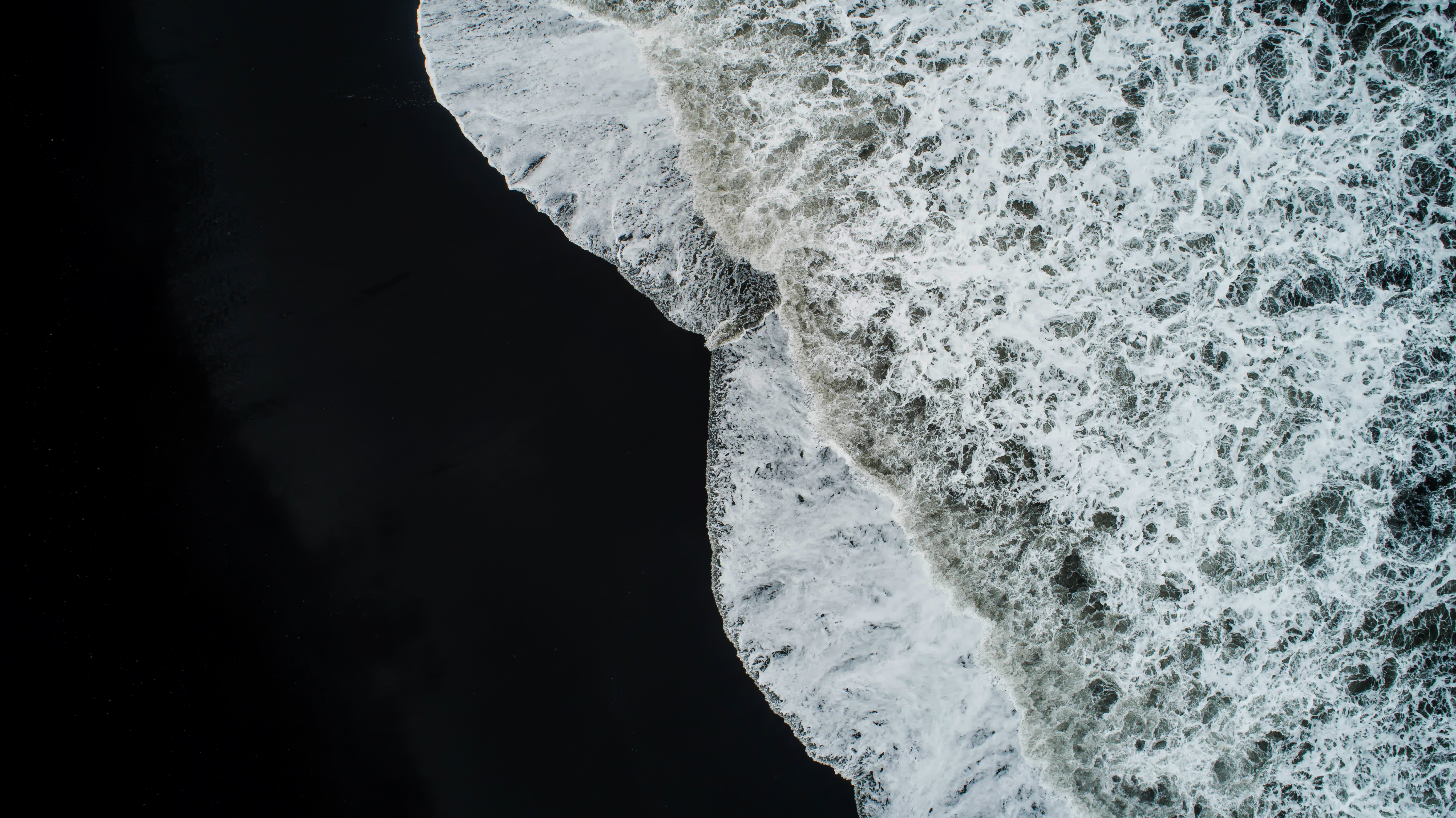 Havvalp på en svart strand